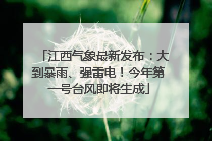 江西气象最新发布：大到暴雨、强雷电！今年第一号台风即将生成