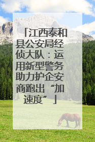 江西泰和县公安局经侦大队：运用新型警务助力护企安商跑出“加速度”