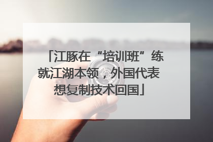 江豚在“培训班”练就江湖本领，外国代表想复制技术回国