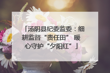 汤阴县纪委监委：细耕监督“责任田” 暖心守护“夕阳红”