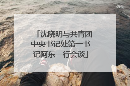 沈晓明与共青团中央书记处第一书记阿东一行会谈