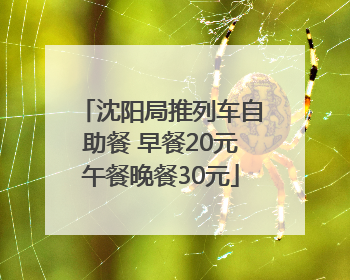沈阳局推列车自助餐 早餐20元午餐晚餐30元