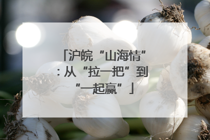 沪皖“山海情”：从“拉一把”到“一起赢”