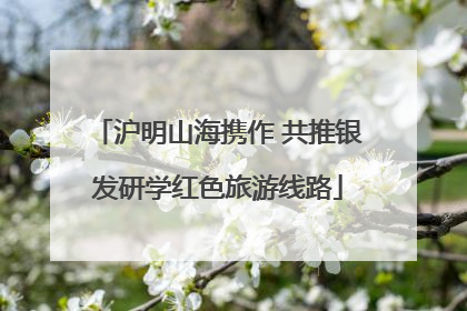 沪明山海携作 共推银发研学红色旅游线路