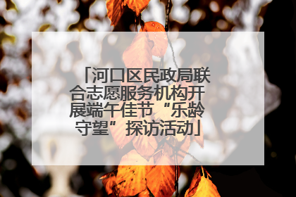 河口区民政局联合志愿服务机构开展端午佳节“乐龄守望”探访活动