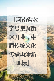 河南省老字号集聚街区开业，中原传统文化传承再添新地标