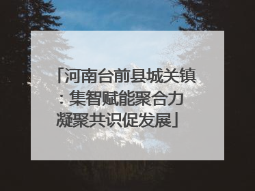 河南台前县城关镇：集智赋能聚合力 凝聚共识促发展