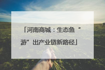 河南商城：生态鱼“游”出产业链新路径