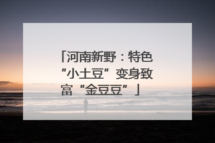 河南新野：特色“小土豆”变身致富“金豆豆”
