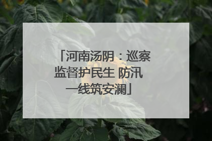 河南汤阴：巡察监督护民生 防汛一线筑安澜
