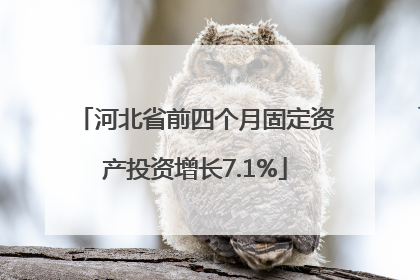 河北省前四个月固定资产投资增长7.1%