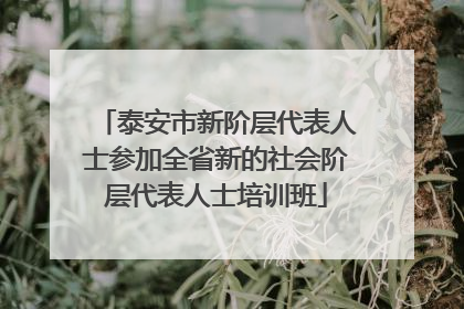 泰安市新阶层代表人士参加全省新的社会阶层代表人士培训班