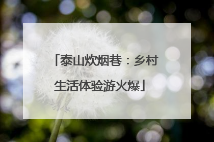 泰山炊烟巷：乡村生活体验游火爆