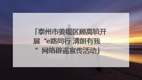 泰州市姜堰区顾高镇开展“e路同行 清朗有我”网络辟谣宣传活动