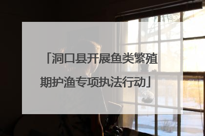 洞口县开展鱼类繁殖期护渔专项执法行动
