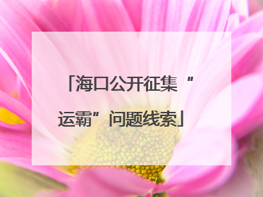 海口公开征集“运霸”问题线索
