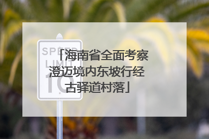 海南省全面考察澄迈境内东坡行经古驿道村落