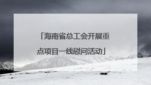 海南省总工会开展重点项目一线慰问活动