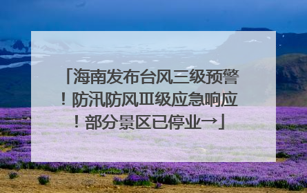 海南发布台风三级预警！防汛防风Ⅲ级应急响应！部分景区已停业→