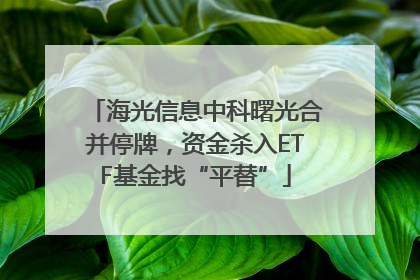 海光信息中科曙光合并停牌，资金杀入ETF基金找“平替”