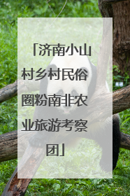 济南小山村乡村民俗圈粉南非农业旅游考察团