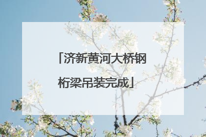 济新黄河大桥钢桁梁吊装完成