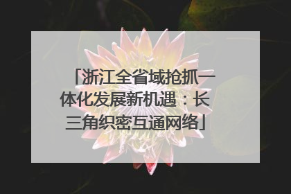 浙江全省域抢抓一体化发展新机遇：长三角织密互通网络