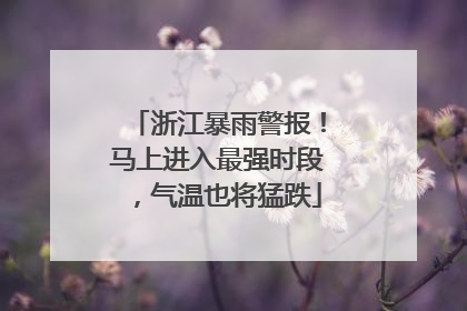 浙江暴雨警报！马上进入最强时段，气温也将猛跌