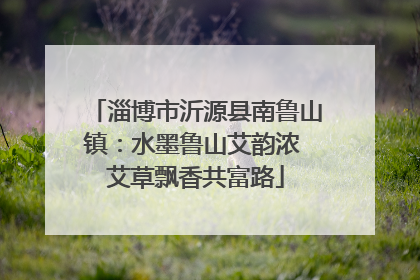 淄博市沂源县南鲁山镇：水墨鲁山艾韵浓 艾草飘香共富路