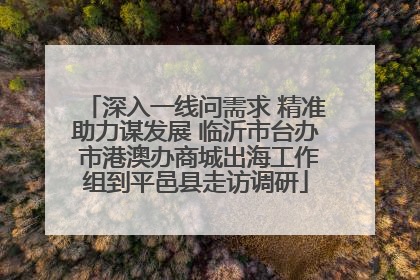 深入一线问需求 精准助力谋发展 临沂市台办 市港澳办商城出海工作组到平邑县走访调研