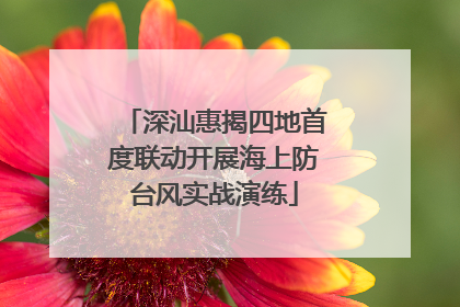 深汕惠揭四地首度联动开展海上防台风实战演练