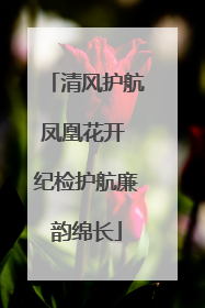 清风护航凤凰花开 纪检护航廉韵绵长