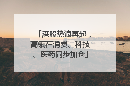 港股热浪再起，高瓴在消费、科技、医药同步加仓