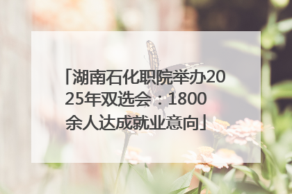 湖南石化职院举办2025年双选会：1800余人达成就业意向