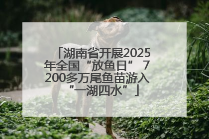 湖南省开展2025年全国“放鱼日” 7200多万尾鱼苗游入“一湖四水”