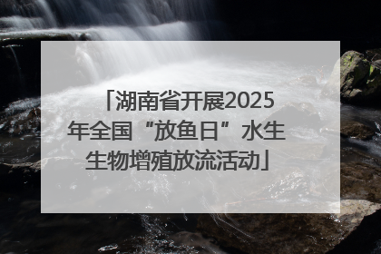 湖南省开展2025年全国“放鱼日”水生生物增殖放流活动