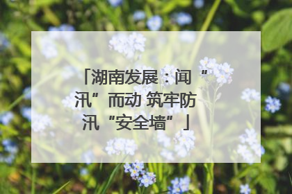 湖南发展：闻“汛”而动 筑牢防汛“安全墙”