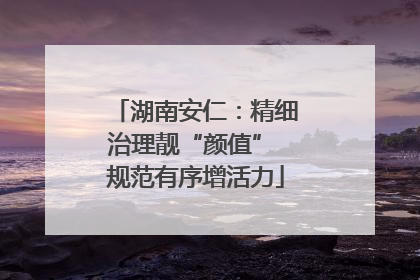 湖南安仁：精细治理靓“颜值” 规范有序增活力