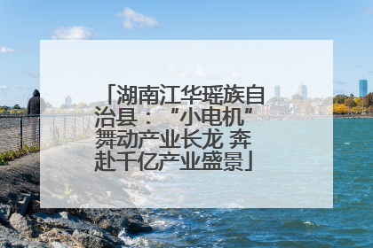 湖南江华瑶族自治县：“小电机”舞动产业长龙 奔赴千亿产业盛景