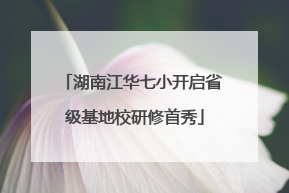 湖南江华七小开启省级基地校研修首秀