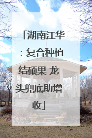 湖南江华：复合种植结硕果 龙头兜底助增收