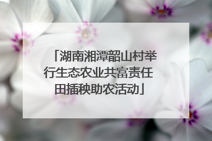 湖南湘潭韶山村举行生态农业共富责任田插秧助农活动