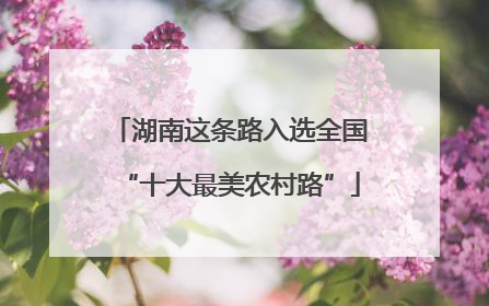 湖南这条路入选全国“十大最美农村路”