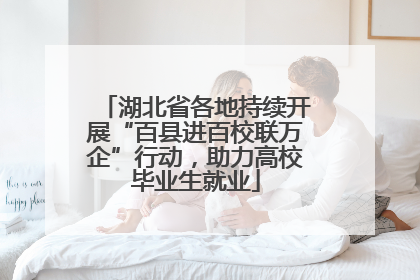 湖北省各地持续开展“百县进百校联万企”行动，助力高校毕业生就业