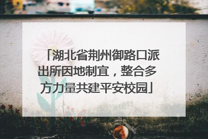 湖北省荆州御路口派出所因地制宜，整合多方力量共建平安校园