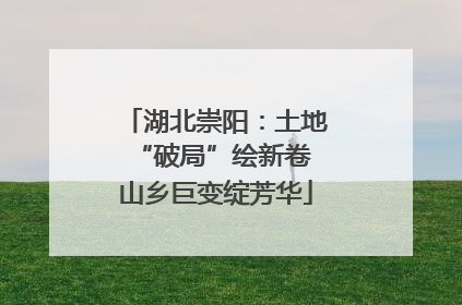 湖北崇阳：土地“破局”绘新卷 山乡巨变绽芳华