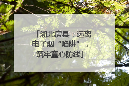 湖北房县：远离电子烟“陷阱”，筑牢童心防线