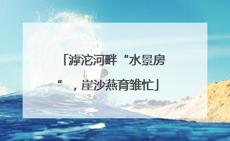 滹沱河畔“水景房”，崖沙燕育雏忙