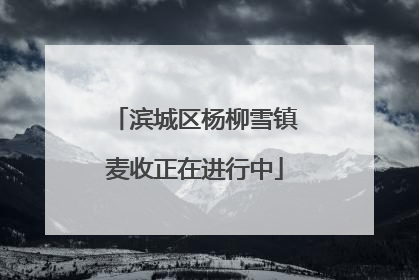 滨城区杨柳雪镇麦收正在进行中