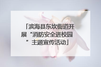 滨海县东坎街道开展“消防安全进校园”主题宣传活动